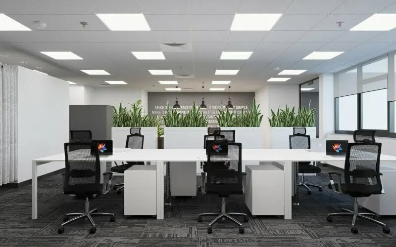 Thiết kế văn phòng diện tích nhỏ không gian xanh